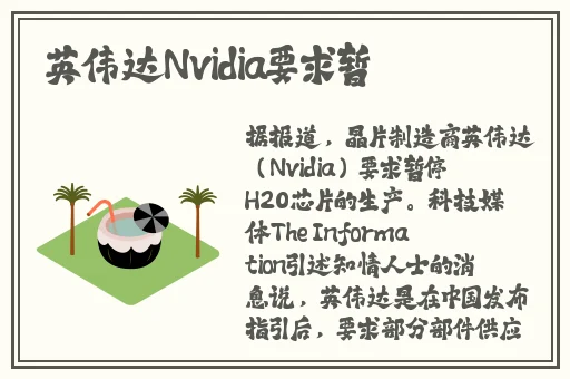 抓住西施的两只大兔子主题曲