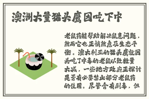丁香五月全网